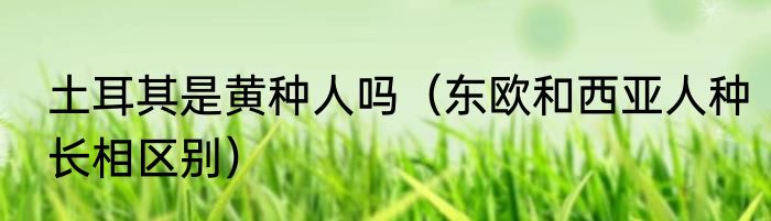 土耳其是黄种人吗（东欧和西亚人种长相区别）