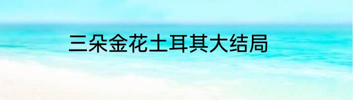 三朵金花土耳其大结局