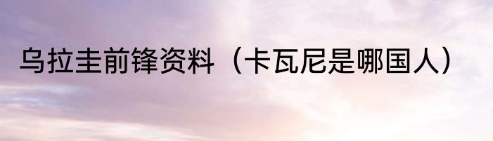 乌拉圭前锋资料（卡瓦尼是哪国人）