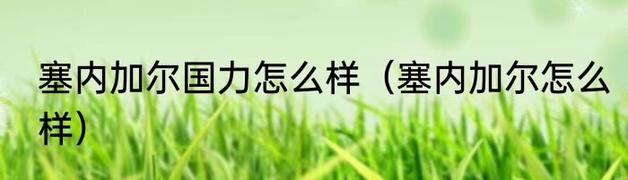 塞内加尔国力怎么样（塞内加尔怎么样）