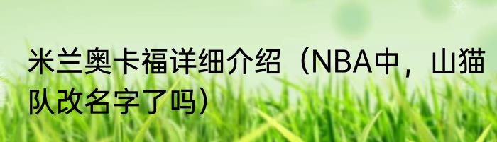 米兰奥卡福详细介绍（NBA中，山猫队改名字了吗）