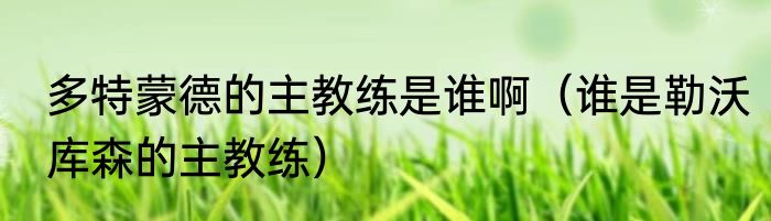 多特蒙德的主教练是谁啊（谁是勒沃库森的主教练）