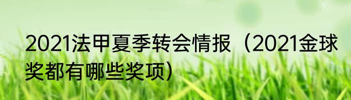 2021法甲夏季转会情报（2021金球奖都有哪些奖项）