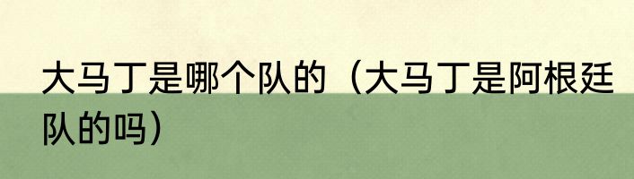 大马丁是哪个队的（大马丁是阿根廷队的吗）