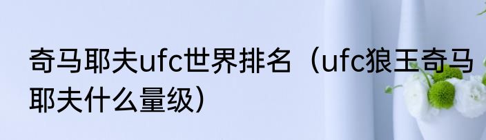 奇马耶夫ufc世界排名（ufc狼王奇马耶夫什么量级）
