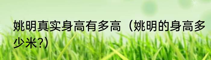 姚明真实身高有多高（姚明的身高多少米?）