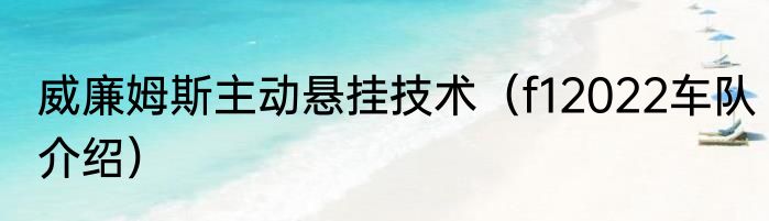 威廉姆斯主动悬挂技术（f12022车队介绍）