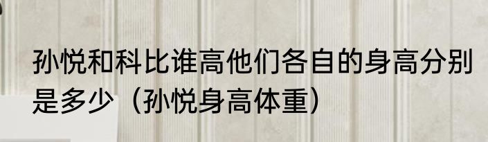 孙悦和科比谁高他们各自的身高分别是多少（孙悦身高体重）
