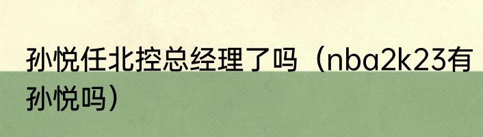 孙悦任北控总经理了吗（nba2k23有孙悦吗）