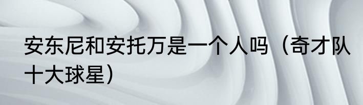 安东尼和安托万是一个人吗（奇才队十大球星）