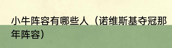 小牛阵容有哪些人（诺维斯基夺冠那年阵容）