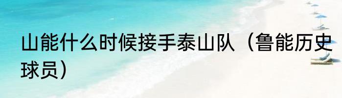 山能什么时候接手泰山队（鲁能历史球员）