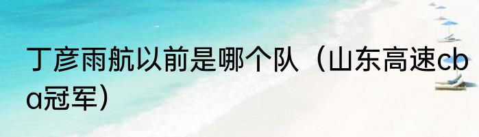 丁彦雨航以前是哪个队（山东高速cba冠军）