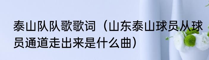 泰山队队歌歌词(山东泰山球员从球员通道走出来是什么曲)