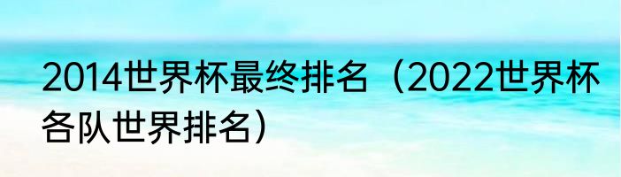 2014世界杯最终排名（2022世界杯各队世界排名）