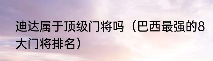 迪达属于顶级门将吗（巴西最强的8大门将排名）