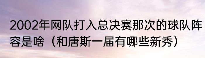 2002年网队打入总决赛那次的球队阵容是啥（和唐斯一届有哪些新秀）