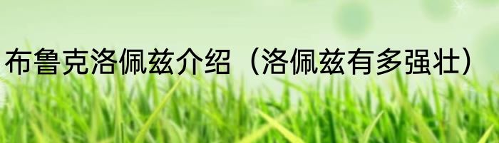 布鲁克洛佩兹介绍（洛佩兹有多强壮）