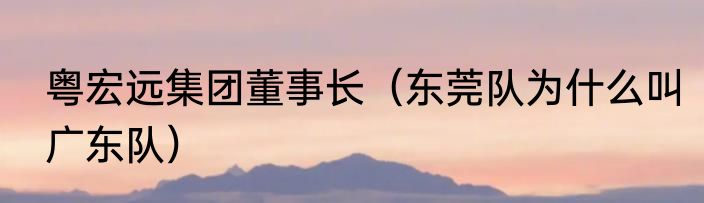 粤宏远集团董事长（东莞队为什么叫广东队）