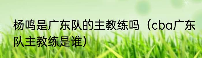 杨鸣是广东队的主教练吗（cba广东队主教练是谁）