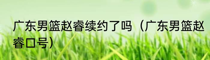 广东男篮赵睿续约了吗（广东男篮赵睿口号）