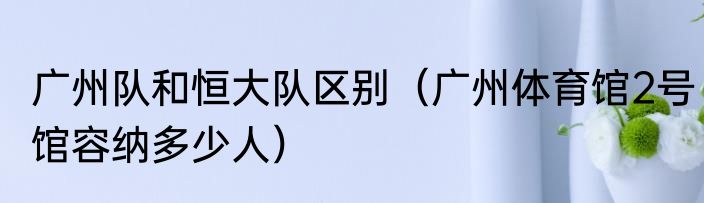 广州队和恒大队区别（广州体育馆2号馆容纳多少人）