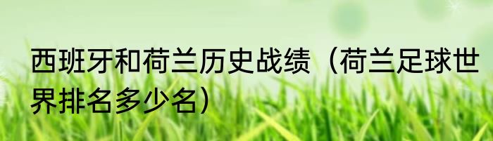 西班牙和荷兰历史战绩（荷兰足球世界排名多少名）