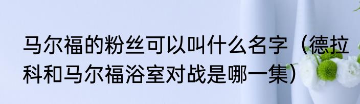 马尔福的粉丝可以叫什么名字（德拉科和马尔福浴室对战是哪一集）