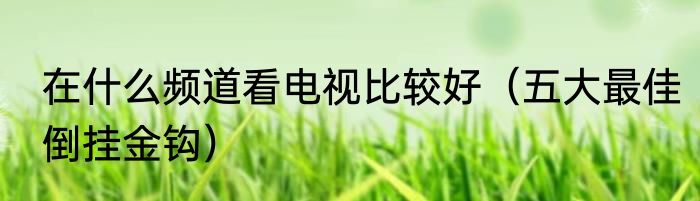 在什么频道看电视比较好（五大最佳倒挂金钩）