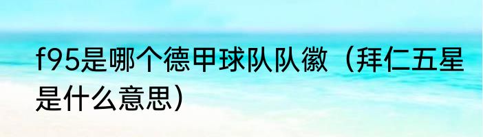 f95是哪个德甲球队队徽（拜仁五星是什么意思）