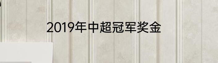 2019年中超冠军奖金