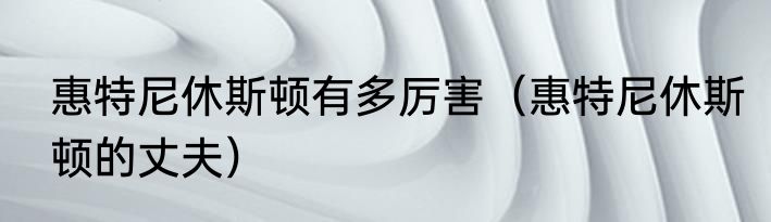 惠特尼休斯顿有多厉害（惠特尼休斯顿的丈夫）