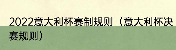 2022意大利杯赛制规则（意大利杯决赛规则）