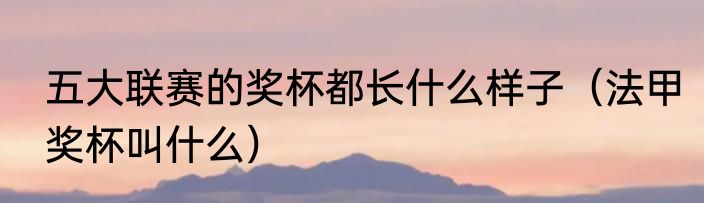 五大联赛的奖杯都长什么样子（法甲奖杯叫什么）