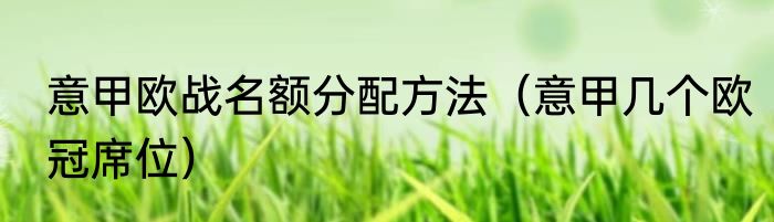 意甲欧战名额分配方法（意甲几个欧冠席位）