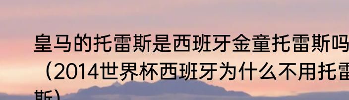 皇马的托雷斯是西班牙金童托雷斯吗（2014世界杯西班牙为什么不用托雷斯）