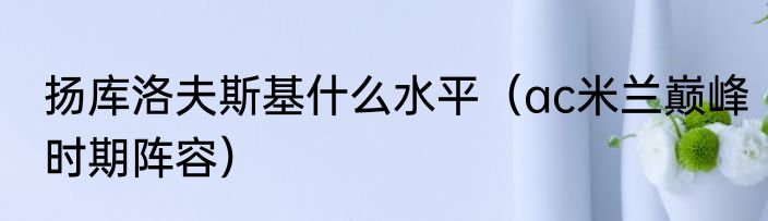 扬库洛夫斯基什么水平（ac米兰巅峰时期阵容）