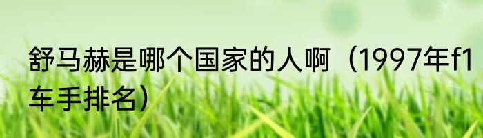 舒马赫是哪个国家的人啊（1997年f1车手排名）
