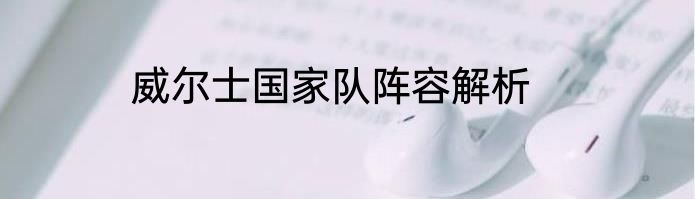 威尔士国家队阵容解析