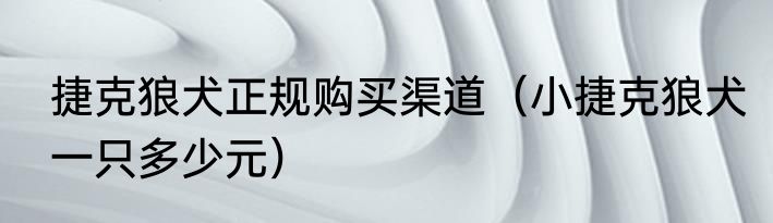 捷克狼犬正规购买渠道（小捷克狼犬一只多少元）