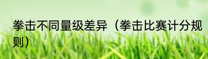 拳击不同量级差异（拳击比赛计分规则）