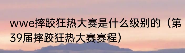 wwe摔跤狂热大赛是什么级别的（第39届摔跤狂热大赛赛程）
