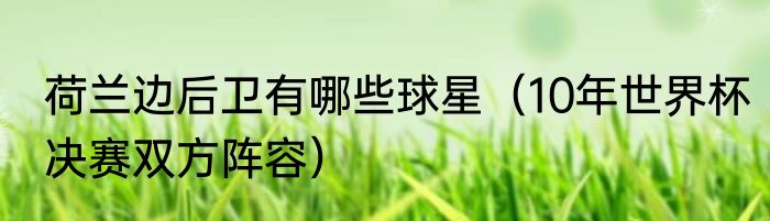 荷兰边后卫有哪些球星（10年世界杯决赛双方阵容）