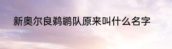 新奥尔良鹈鹕队原来叫什么名字