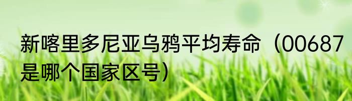 新喀里多尼亚乌鸦平均寿命（00687是哪个国家区号）