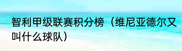 智利甲级联赛积分榜（维尼亚德尔又叫什么球队）