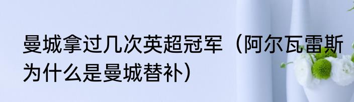 曼城拿过几次英超冠军（阿尔瓦雷斯为什么是曼城替补）