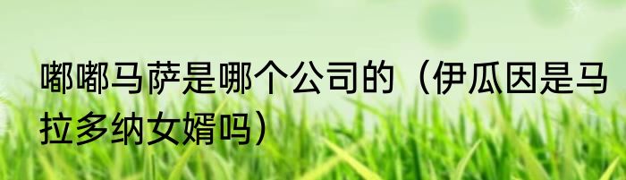 嘟嘟马萨是哪个公司的（伊瓜因是马拉多纳女婿吗）