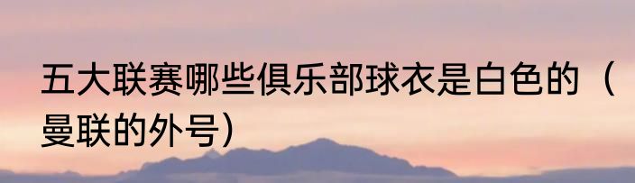 五大联赛哪些俱乐部球衣是白色的（曼联的外号）