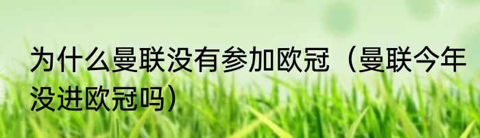 为什么曼联没有参加欧冠（曼联今年没进欧冠吗）